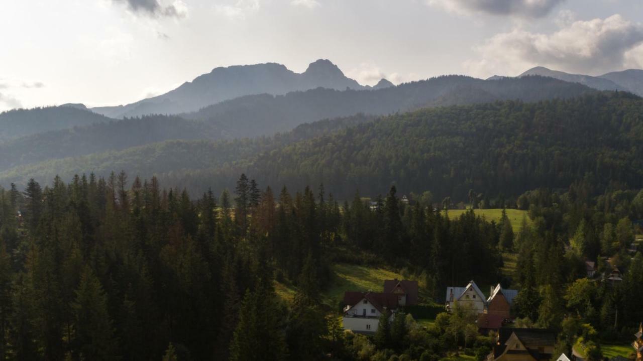 Willa Cichy Potok Zakopane Bagian luar foto